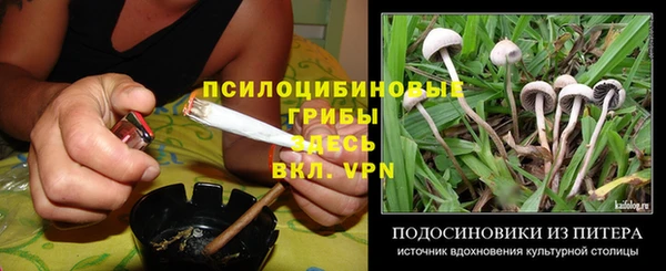 PSILOCYBIN Мегион