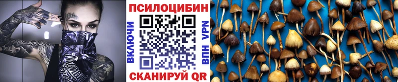 Псилоцибиновые грибы Psilocybine cubensis Уссурийск