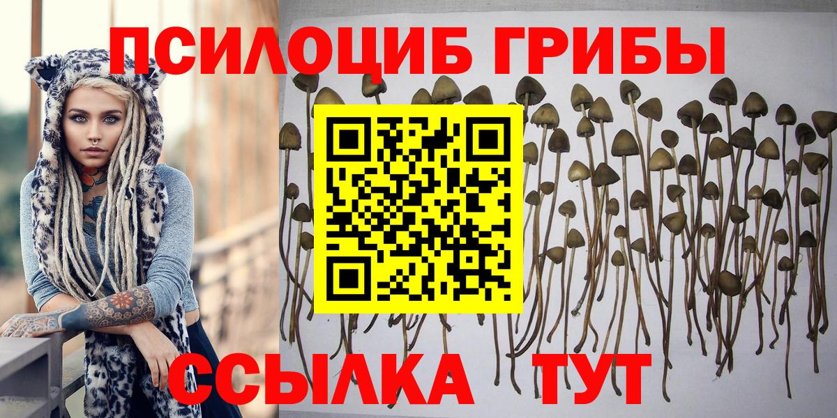 Галлюциногенные грибы прущие грибы Уссурийск