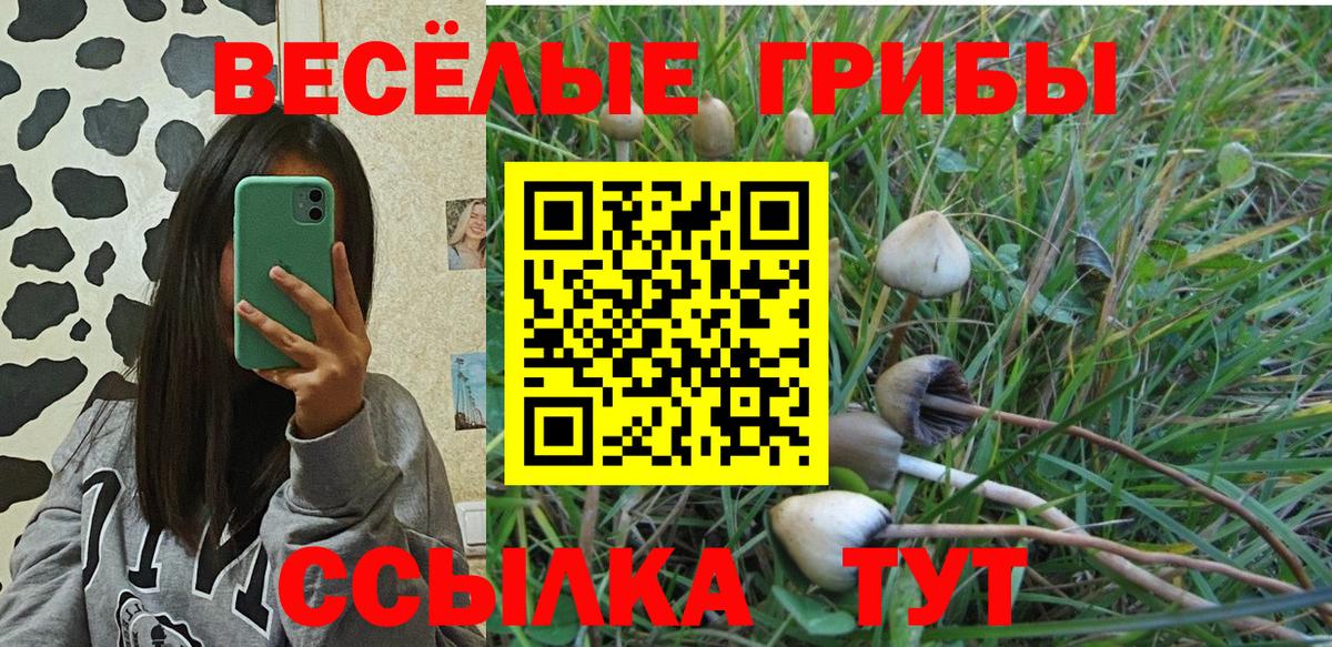 Уссурийск  Галлюциногенные грибы мицелий  цены   Вход с VPN 