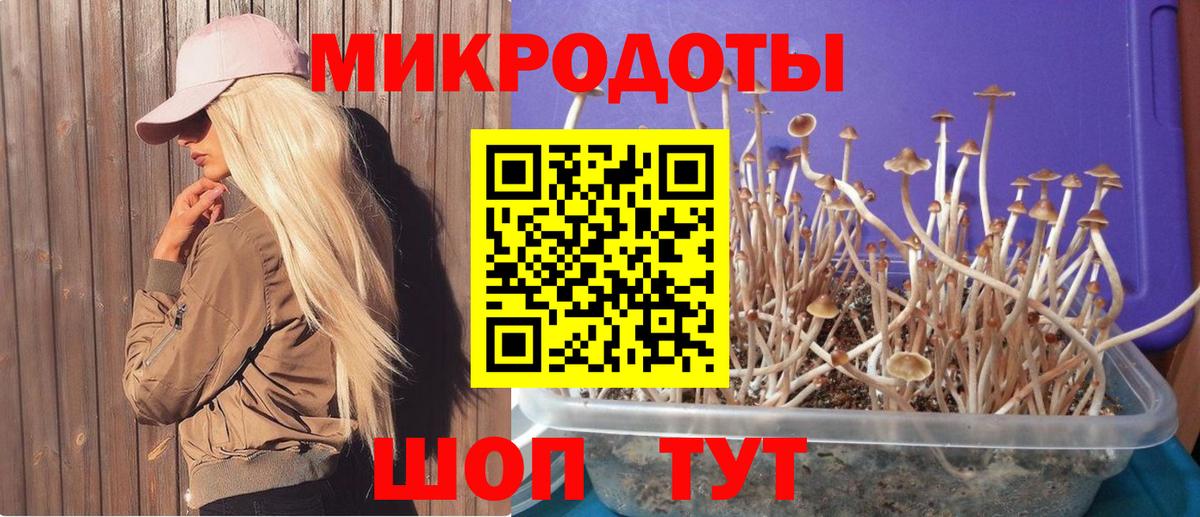 Галлюциногенные грибы прущие грибы  Уссурийск 